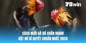 cách nuôi gà đá chân mạnh 78win