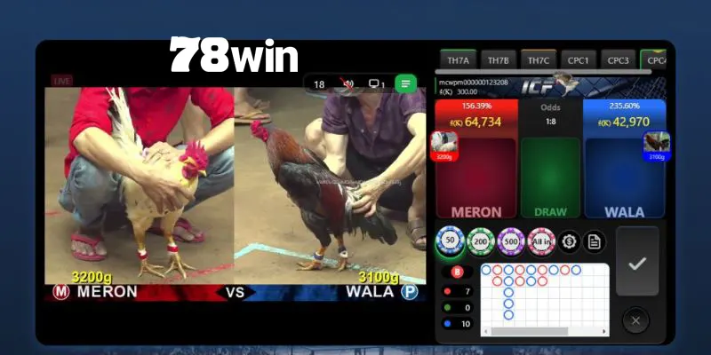 Đá Gà 78win - Trải Nghiệm Đặt Cược Trực Tuyến Đỉnh Cao 2 Tìm hiểu các hình thức đá gà 78win phổ biến